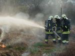 20141115_ffpoeggstall_18.JPG