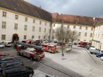 20210408_ffmelk_11.JPG