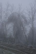 20141203_ffbraunegg_20.JPG