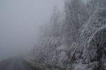20141203_ffbraunegg_21.JPG