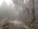 20141203_ffbraunegg_30.JPG