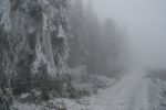 20141203_ffbraunegg_7.JPG