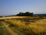 20150717_ffseiterndorf_7.JPG