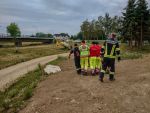 20260810_Loosdorf006.jpg