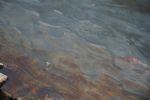 20140115_Oeleinsatz_Donau001.JPG