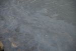 20140115_Oeleinsatz_Donau002.JPG
