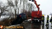 20150101_ffsarling_2.jpg