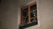 20161124_ffmelk_2.jpg