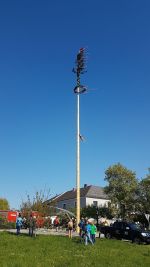 20170430_ffmank_1.jpg