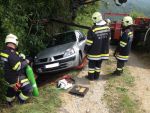 20140721_ffweiten_2.jpg