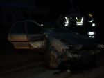 20160319_FZg05.JPG