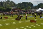 K1024_DSC_0335.JPG
