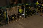 DSC07484.jpg