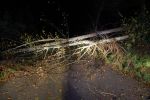 20141022_Sturmschaden05.JPG