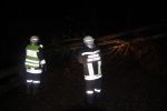20141022_Sturmschaden06.JPG