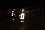 20141022_Sturmschaden08.JPG