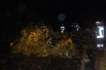 20141022_Sturmschaden09.JPG