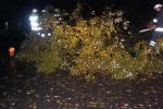 20141022_Sturmschaden10.JPG