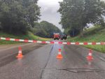 20200826_ffmannersdorf_30.jpg
