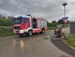 20200826_ffmannersdorf_42.jpg