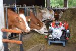 20160725_ffseiterndorf_6.jpg