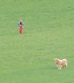 20140415_ffpoeggstall_1.JPG