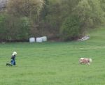 20140415_ffpoeggstall_4.JPG