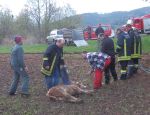 20140415_ffpoeggstall_5.JPG