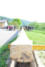20180428_ffmatzleinsdorf_1.JPG
