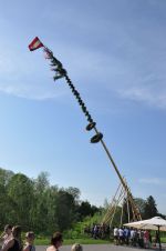 20180428_ffmatzleinsdorf_13.JPG