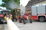 20150606_Brauchtum17.JPG