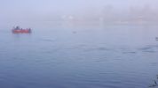 20171019_bfkmelk_3.jpg