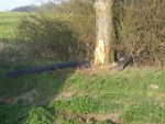 20140330_ffhuerm_7.jpg