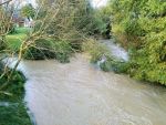 20160726_ffibischofstetten_12.jpg
