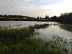 20160726_ffibischofstetten_9.jpg