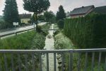 20160726_ffinning_5.jpg
