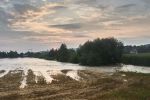20160726_ffinning_6.jpg