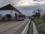 20201120ffinning_5.jpg