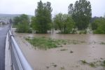 20140516_bfuest_510.JPG