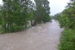 20140516_bfuest_511.JPG