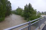 20140516_bfuest_512.JPG