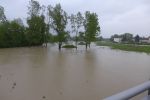 20140516_bfuest_59.JPG