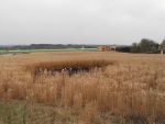 20140403_ffblindenmarkt_5.JPG