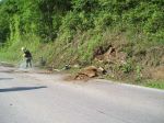 20140604_ffweiten_8.JPG