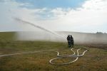 20150819_ffbrunnwiesen_3.jpg