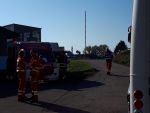 20181013_ffsarling_6.jpg