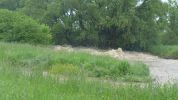 20140516_afkmank_12.JPG