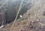 20161117_ffraxendorf_1.jpg