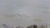 20210731_Donau05.jpg