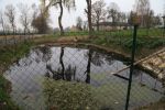 20181127_löschteich_10.jpg